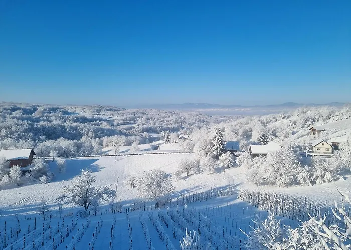 Vila Brloska