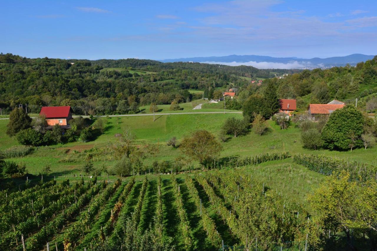 Brloska Villa