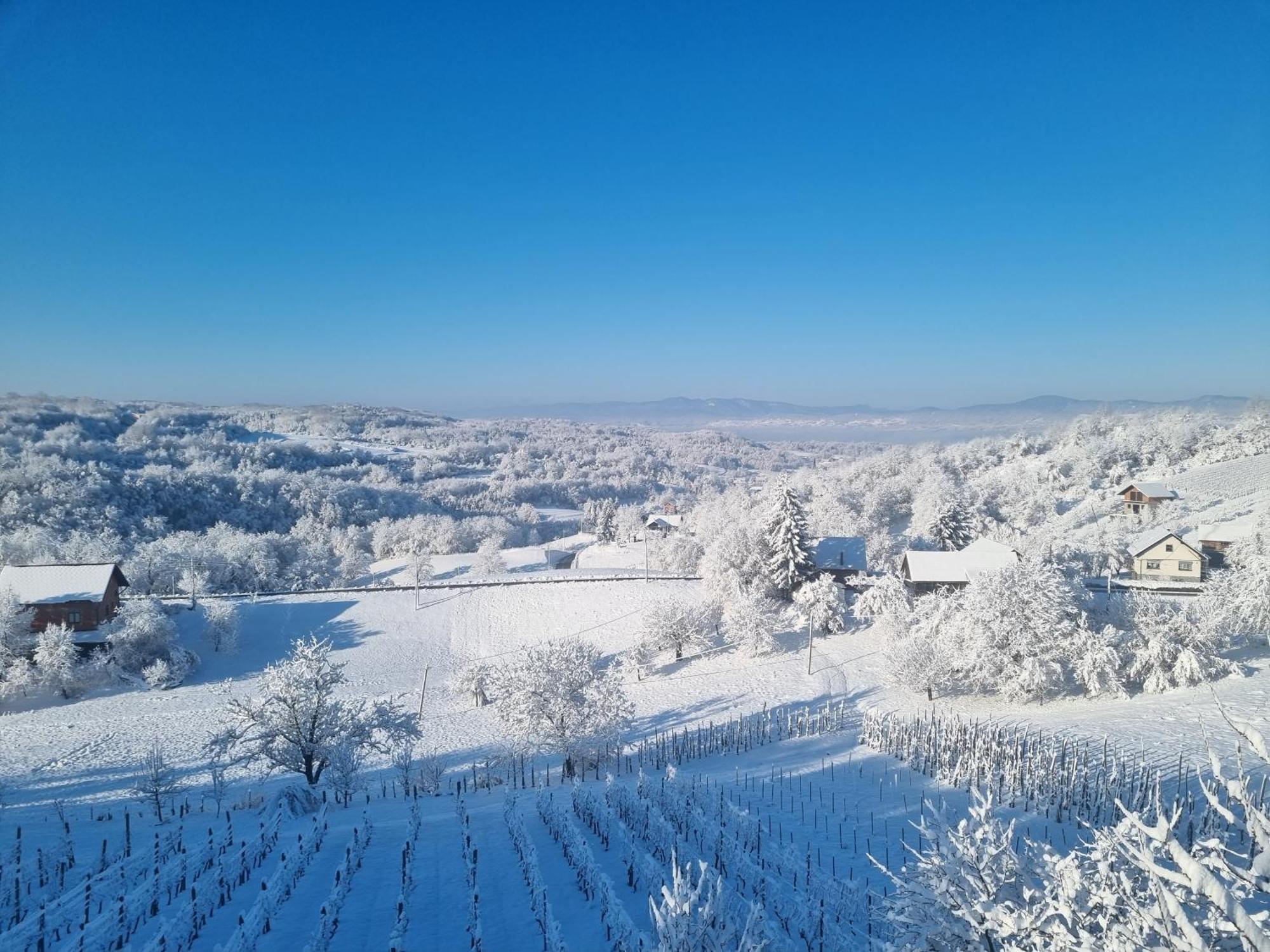 Brloska Kamanje